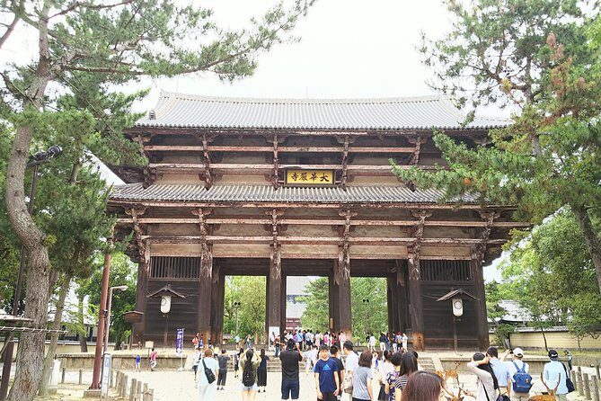 One-Day Walking Tour of Amazing 8th Century Capital Nara - Exploring Nara: A Walk Through Japan’s Ancient Capital
