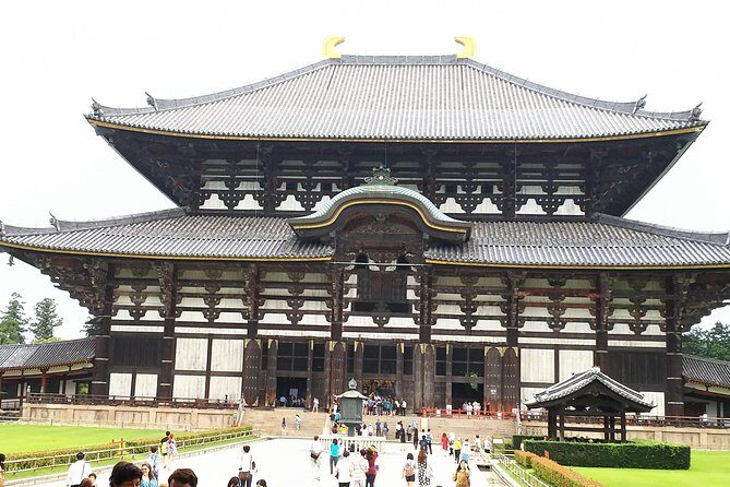 One-Day Walking Tour of Amazing 8th Century Capital Nara - A Deep Dive into the Nara Experience