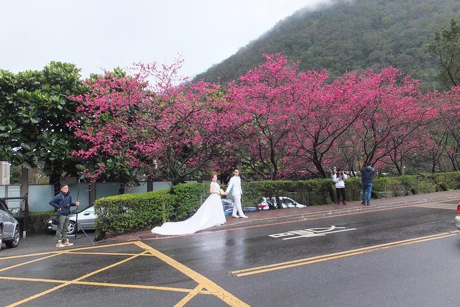 One-day Yangmingshan NP Beitou Hot Spring Park and Tamsui Tour Package - Exploring Taipeis Natural and Cultural Gems: The One-Day Yangmingshan, Beitou, and Tamsui Tour