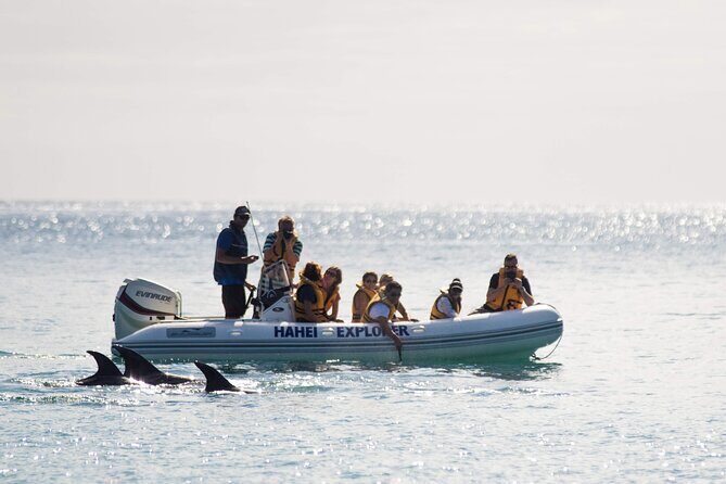 One Hour Cathedral Cove Boat Tour in Hahei - A Practical Review of the One Hour Cathedral Cove Boat Tour in Hahei