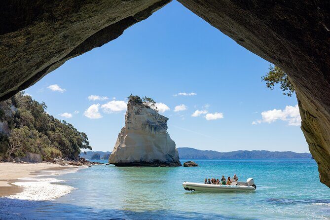 One Hour Cathedral Cove Boat Tour in Hahei - The Full Experience: What to Expect from the Tour