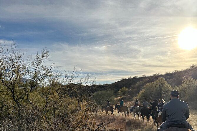 One Hour Guided Horseback Ride - Authentic Experiences and Real Traveler Impressions