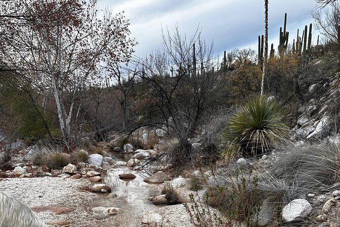 One Hour Guided Horseback Ride - Who Should Consider This Tour?