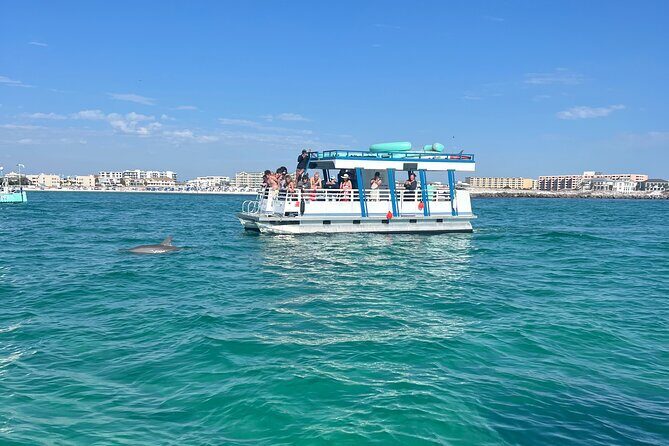 One Hour Harbor Shared Tour with Dolphin Watching - Why This Tour Stands Out