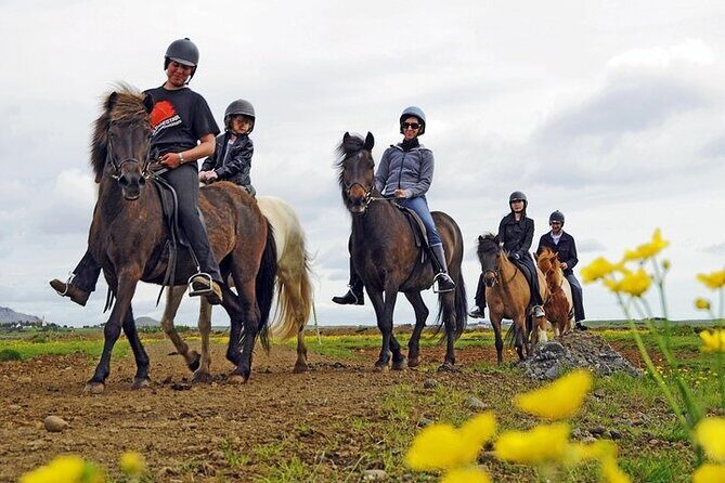 One-Hour Horseback Riding Tour in the Icelandic Countryside - A Gentle Introduction to Icelandic Horses and Countryside