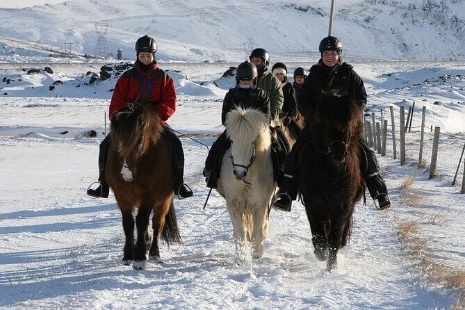One-Hour Horseback Riding Tour in the Icelandic Countryside - The Sum Up