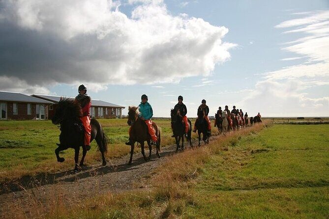 One-Hour Horseback Riding Tour in the Icelandic Countryside - FAQs