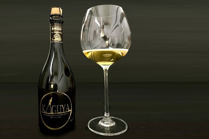 One hour Wine, Beer, and Mead Guided Tasting in Costa Ricas Central Valley - Why This Tour Stands Out