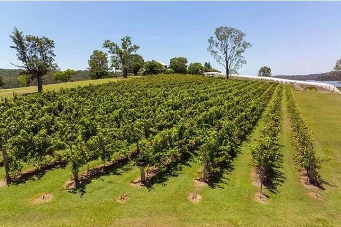 One Hump Camel Farm and Wine Tour - Detailed Review: Beyond the Surface
