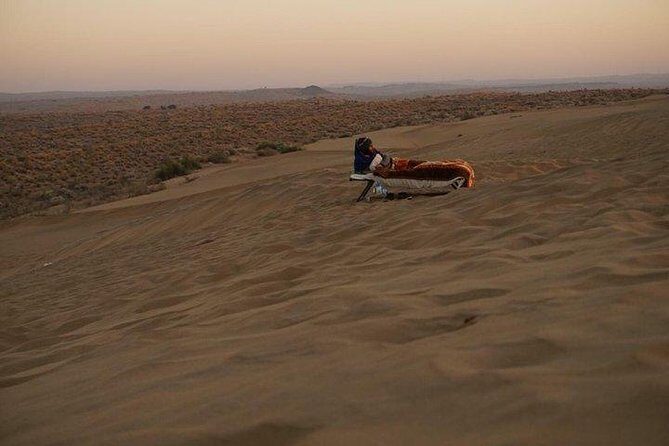 One Night One Day Desert Safari Tour - Exploring the Desert: What’s Included and What to Expect