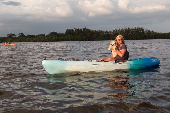 One Single Kayak Rental for 2 hours with Manatee & Dolphin sightings! - Key Points