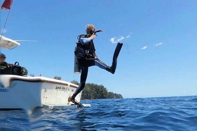 One Tank Boat Dive - Sea Turtles & Tropical Reef - Discover the Underwater Magic of the Big Island with a One Tank Boat Dive