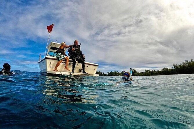 One Tank Boat Dive - Sea Turtles & Tropical Reef - Who Should Consider This Experience?