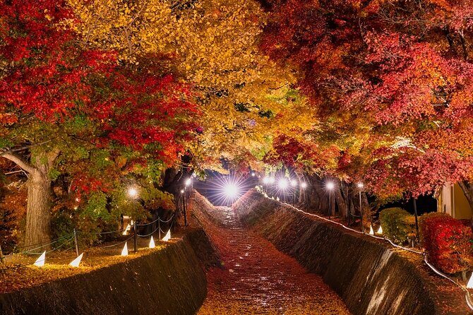 One Way Bus From Kawaguchiko to Hirayu - Who Should Consider This?