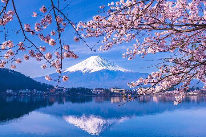 One Way Bus from Kawaguchiko to Tokyo - What We Think: The Value and Suitability