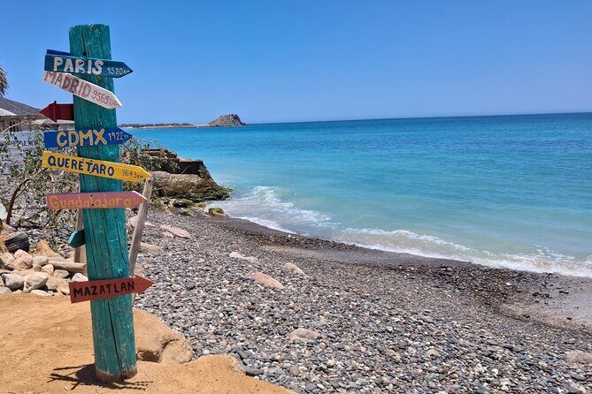 One Way Private Transfer Los Cabos Airport to Cabo Pulmo Park - Why Choose This Transfer?