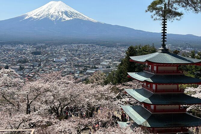 One Way Shuttle Van Transfer, TokyoYamanashi(Mt.Fuji) - A Practical Guide to the Private Shuttle Experience