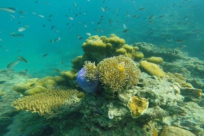 Oneday Tour 4 Islands and Emerald Cave By Tin Adventure Sea Tour from Koh Lanta - Key Points