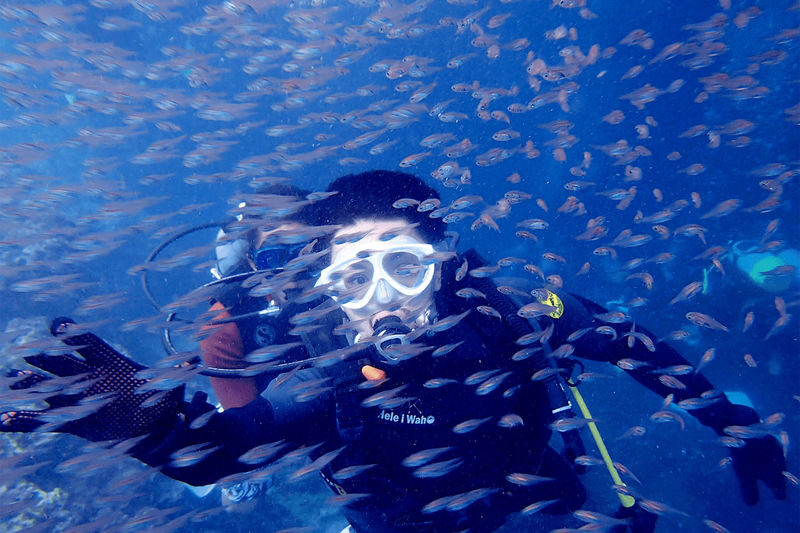 Onna Village Blue Cave Diving and Snorkeling Experience in Okinawa - Photos, fish feed, and what the price buys