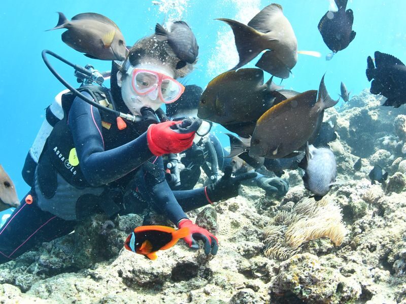 Onna Village Blue Cave Diving & Snorkeling (Boat Course) (Unlimited Photos & Videos, Free Parking & Shower) - Is the price good value?