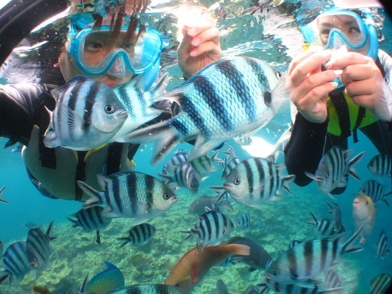 Onna Village Blue Cave Diving & Snorkeling (Boat Course) (Unlimited Photos & Videos, Free Parking & Shower) - Practical details to settle before departure