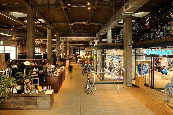 Onomichi Full-Day Private Trip with Government-Licensed Guide - Key Points