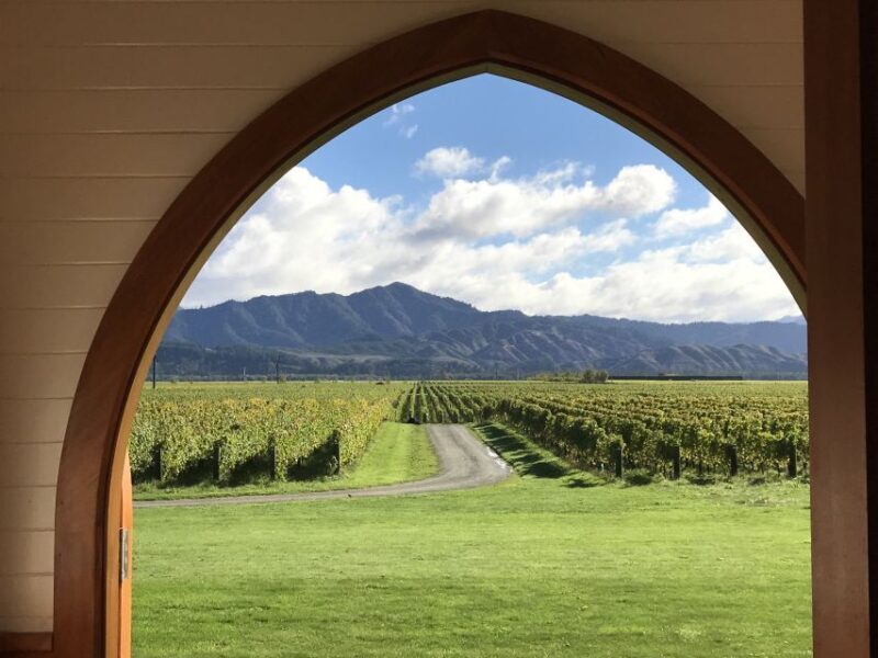 Onshore Highlights of Marlborough's Wine Region from Picton - Who Will Love This Tour?