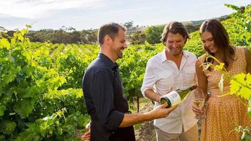 Ontario: Afternoon Wine Tour and Cheese Pairing - The Experience in Detail