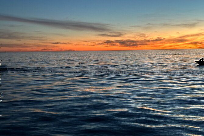 Open Boat Whale Watching - Final Thoughts