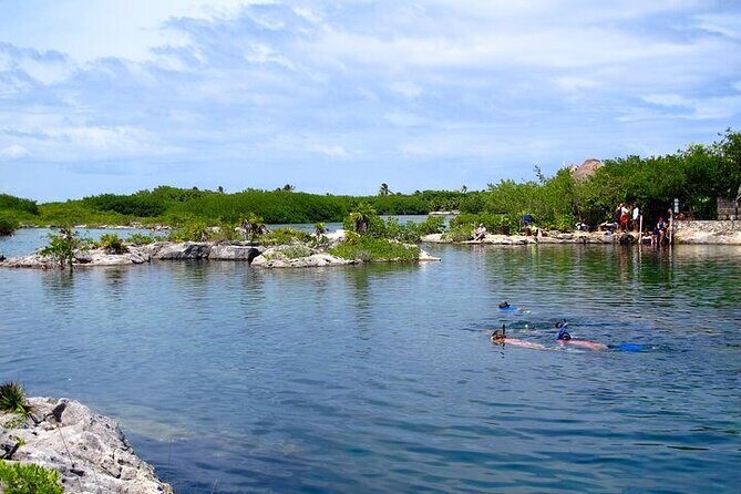 Open Cenote and Yalku Lagoon Snorkeling - A Closer Look at the Tour Experience