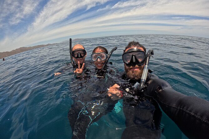 Open Ocean Safari: looking for orcas, dolphins & more - The Practicalities: Transportation, Pricing, and What’s Included