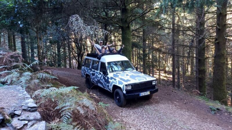 Open Roof Jeep Tour with Madeira Wine Tasting - Exploring the Details of the Madeira Jeep Tour