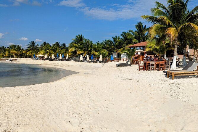 Open Top City Tour & Beach Break - A Comprehensive Look at the Experience