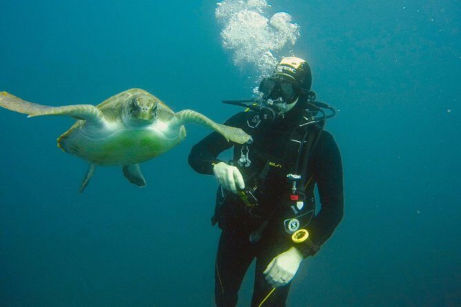 OPEN WATER CERTIFICATION - Become an autonomous diver up to 18m ! - Discovering Tenerife’s Underwater World