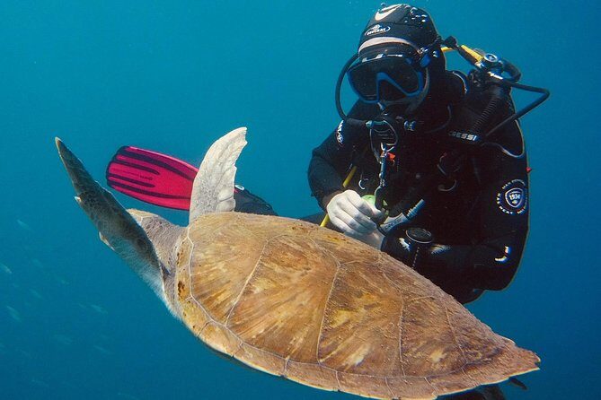 OPEN WATER CERTIFICATION - Become an autonomous diver up to 18m ! - Thriving on Trust and Reputation