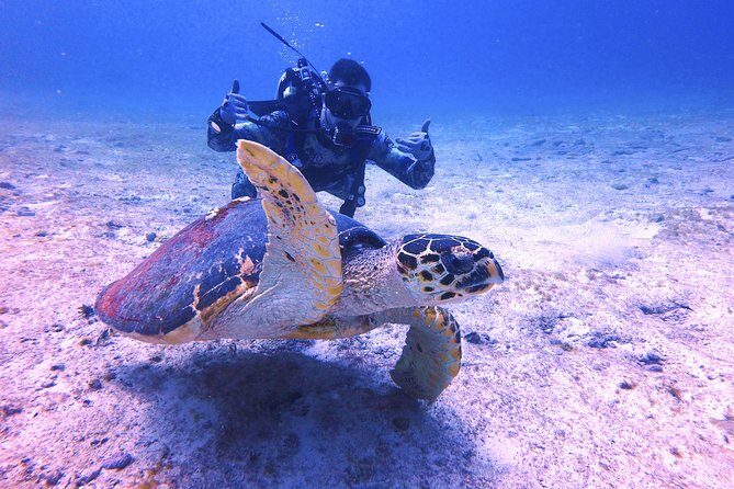 Open Water Certification Course-PADI - Who Will Appreciate This Experience?