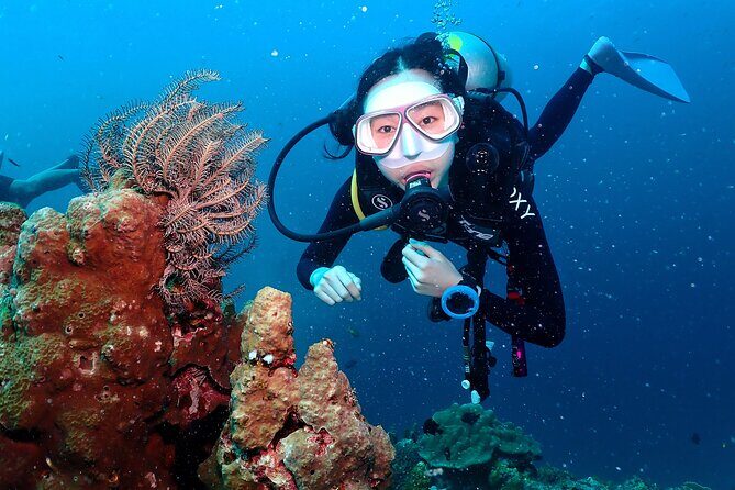 Open Water Course - Become certified diver in 3 days - Key Points