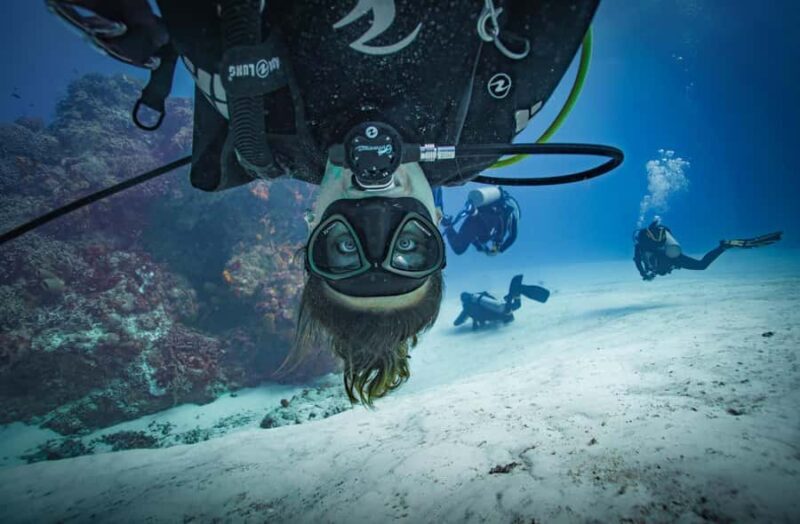 Open Water Course  Dive Machine Experience - An In-Depth Look at the Itinerary