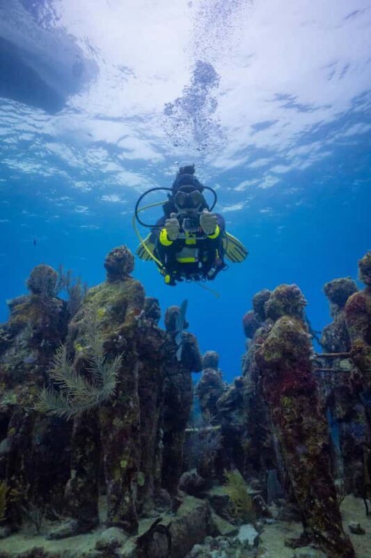 Open Water Course  Dive Machine Experience - Who Will Love This Experience?