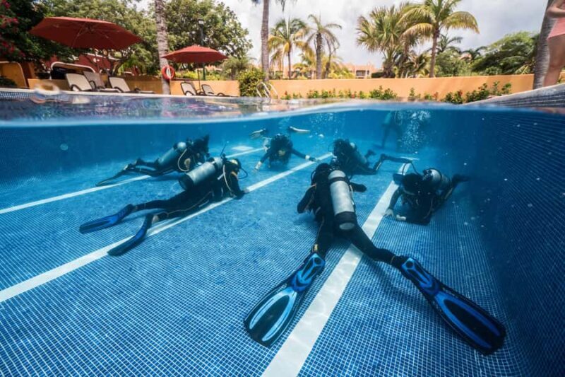 Open Water Course  Dive Machine Experience - FAQs