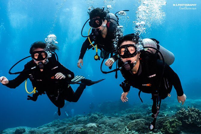 Open Water Course in Tulamben - Get Certified in Bali - FAQs