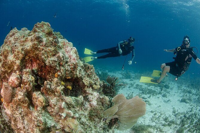 Open Water course Isla Mujeres - FAQ