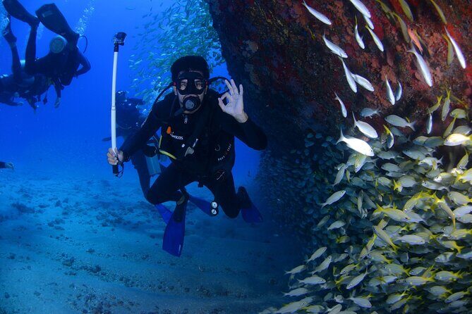 Open Water Diver Course in Arrabida Natural Park (Near Lisbon) - The Value of This Course