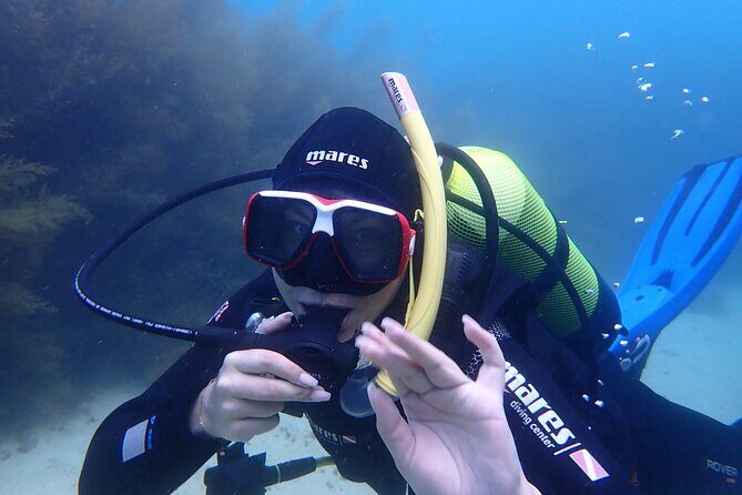Open Water Diver Course in Arrabida Natural Park (Near Lisbon) - FAQ