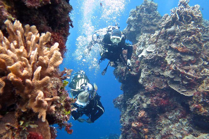 Open Water Diver course PADI in Cancun - What’s Included and What’s Not