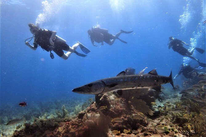 Open Water Diver course PADI in Cancun - Practical Considerations and Tips