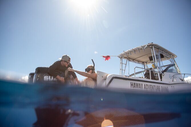 Open Water Shark Dive - Who Should Consider This Experience?