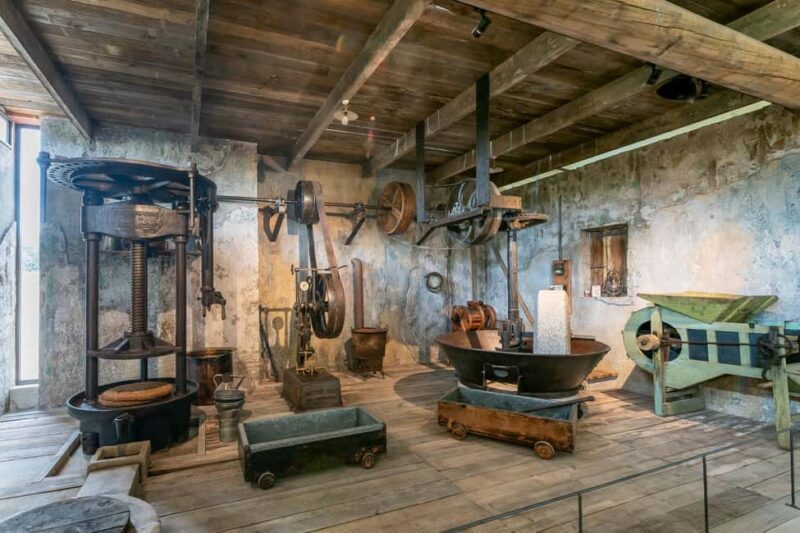 Oppède: Olive Oil Museum Visit - Practical Details and Tips for Visiting