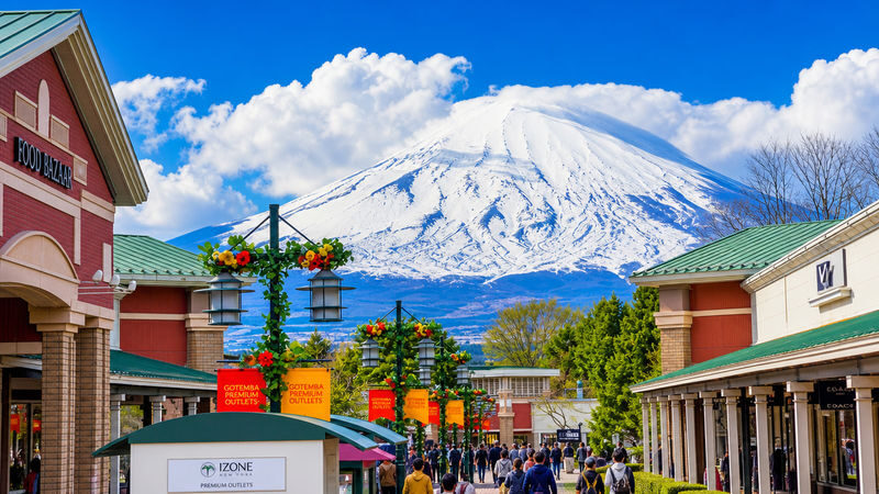 Optional Lake Yamanaka Cruise Experience | Mount Fuji Shopping Private Car Charter or Exquisite Small Group Day Tour | Lake Yamanaka & Gotemba Premium Outlets (Departing from Tokyo) - Who is likely to enjoy this outing