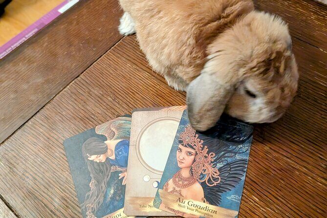 Oracle of St. Augustine, Messages from the Universe. - Final Thoughts: Is It Worth It?